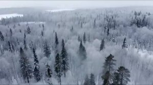 ШАНСОН - А снег кружит и прошлое уходит в даль