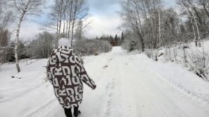 Зимняя сказка. Валдай. стихи Елена Сычева - Зимние холсты