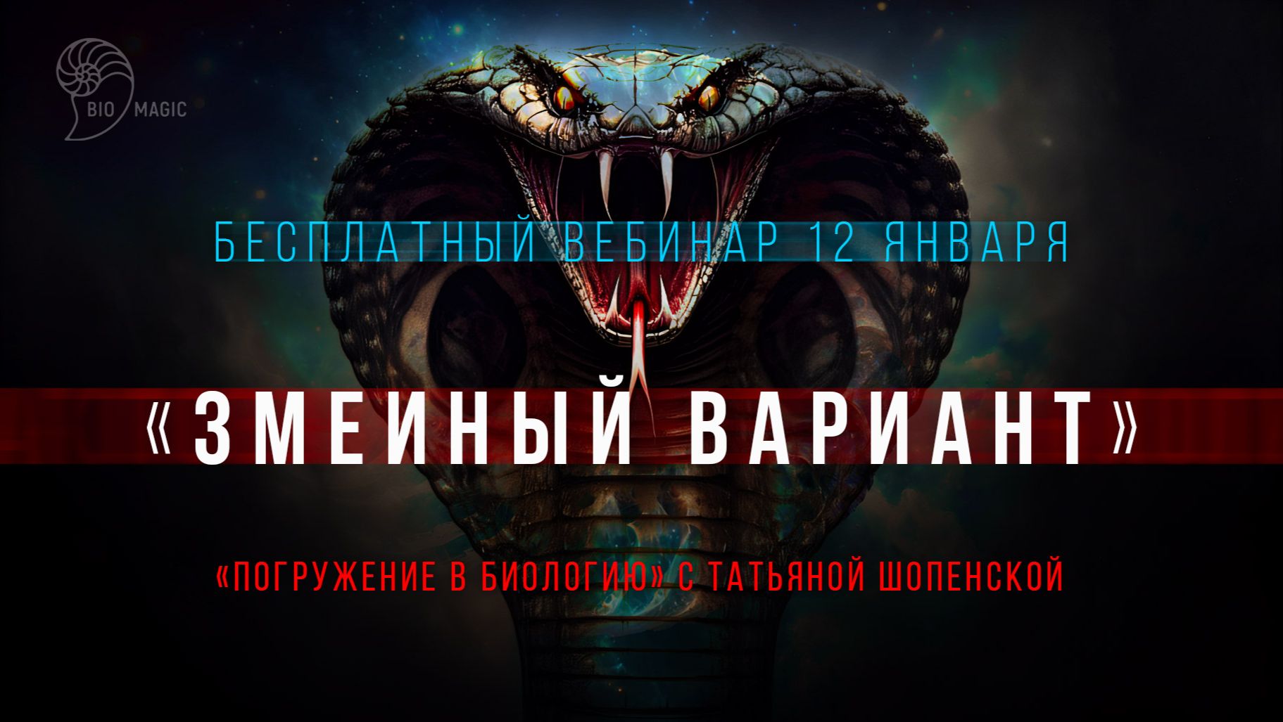 Змеиный вариант-2025