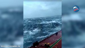 Мурашки по коже: шторм в океане глазами очевидца