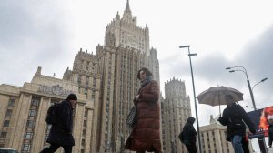 РФ требует от Германии доступ к задержанному за сбор помощи Донбассу россиянину