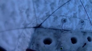 Рыбалка на Финском заливе. Отчёт за 31.01.26. Казакова. Первая рыбалка в 2026 году.