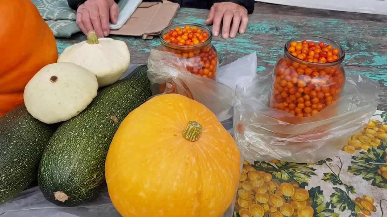 ВЛОГ/Утро, завтрак/Купили у бабулек/В лесу с палками ВЛОГ/Утро, завтрак/Купили у бабулек/В лесу с палками