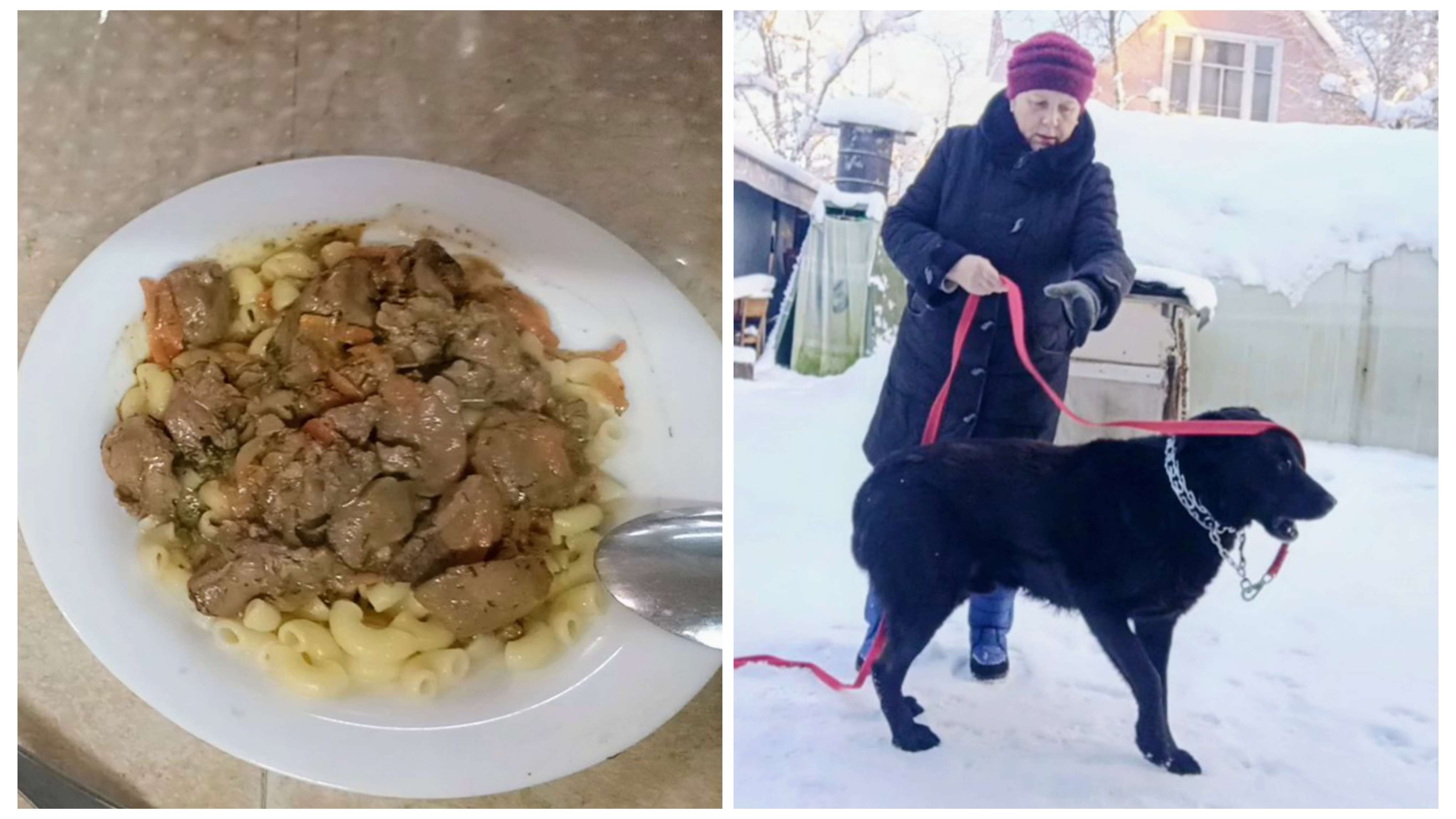 "Жизнь на пенсии".. Печень в сметанном соусе.)) Ходили на прогулку.. смотреть онлайн