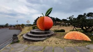 Чеджу за 2 дня | Цветение сакуры, мандариновый бум и ужасный холод