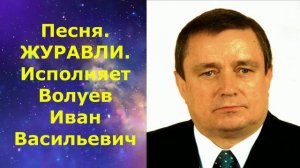 1435.1.В.Ю. ВИДЕО. Песня. ЖУРАВЛИ. Исполняет Волуев И.В.