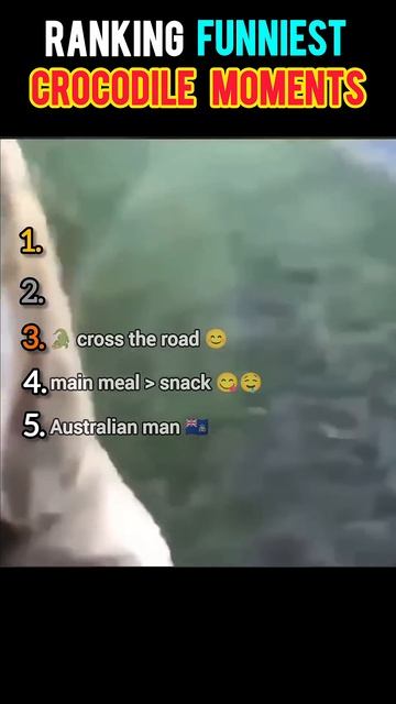 Ranking Top 5 FUNNIEST Crocodiles & Alligators смотреть онлайн