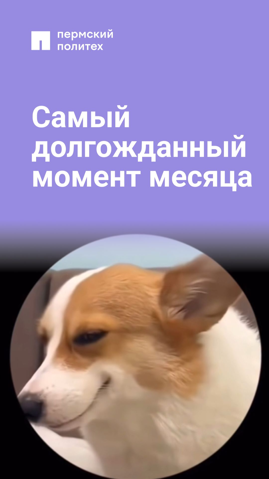 Этого я жду очень долго смотреть онлайн