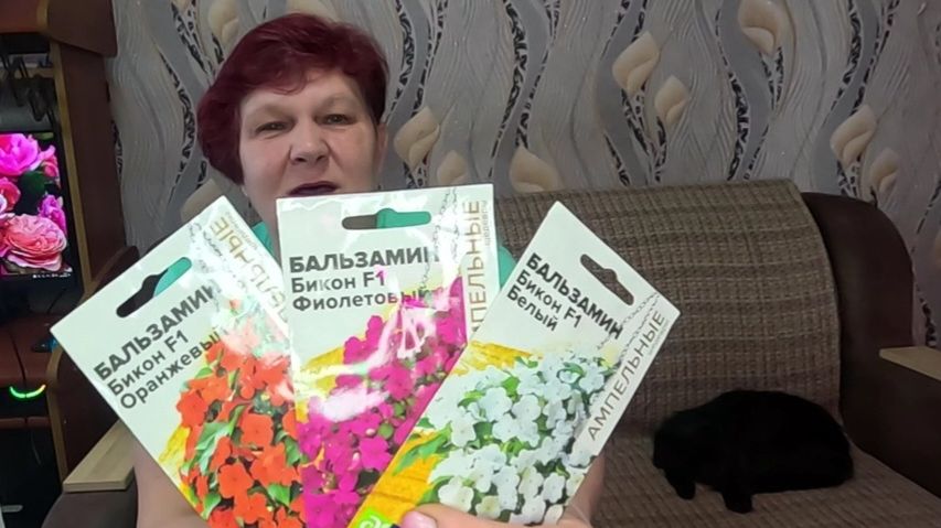 Успейте посеять Редкой Красоты ЦВЕТЫ ДЛЯ ТЕНИСТЫХ УЧАСТКОВ!! смотреть онлайн