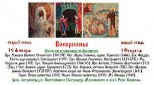 01.02.2026 Неделя о мытаре и фарисее. Божественная Литургия.