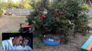 серегел онис