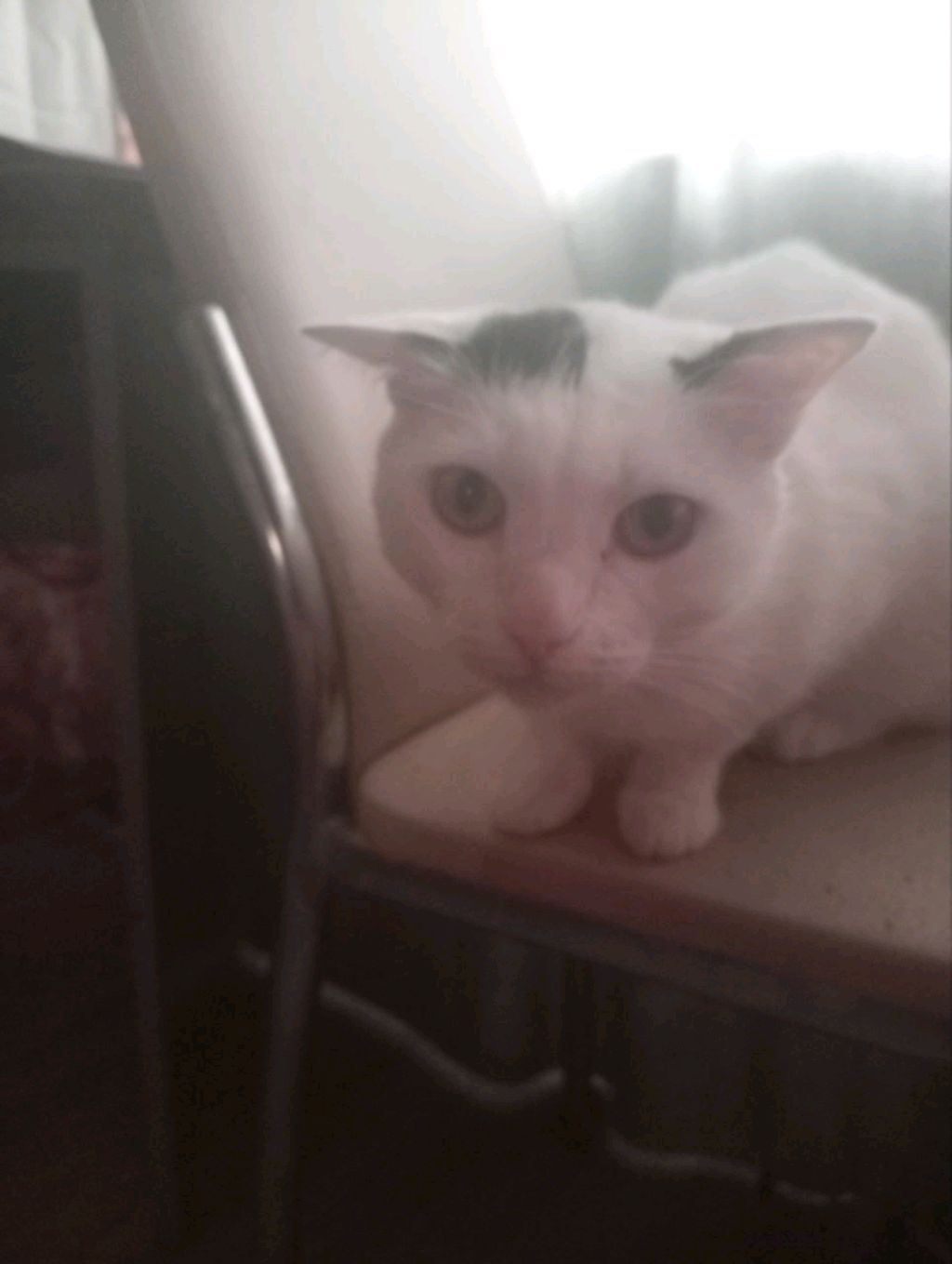 . смотреть онлайн