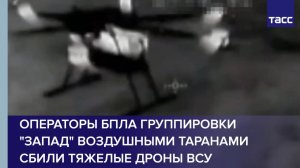 Операторы БПЛА группировки "Запад" воздушными таранами сбили тяжелые дроны ВСУ