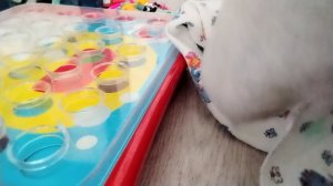 Война танков