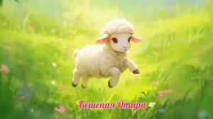 Бешенная Отара, ч. 1