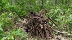 В бамбуковые джунгли на два дня заготавливать металл.