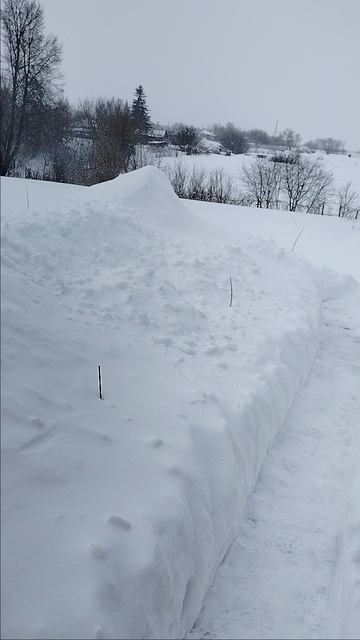 31.01.2026. В этом году глобальное потепление ушло в отпуск! смотреть онлайн