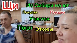 31-01-2026 Переехали из Сибири на юг/Живём на юге/Обзор/Откосы/Щи/Сад птицы/Продают почему?/Погода /