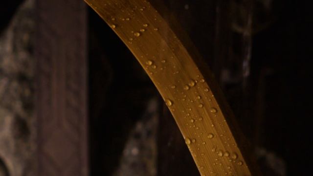 Тетива Кудюрские бани