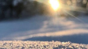 БЛИЗНЕЦЫ.ТАРО ПРОГНОЗ НА ФЕВРАЛЬ МЕСЯЦ ДЛЯ ЗНАКА БЛИЗНЕЦЫ