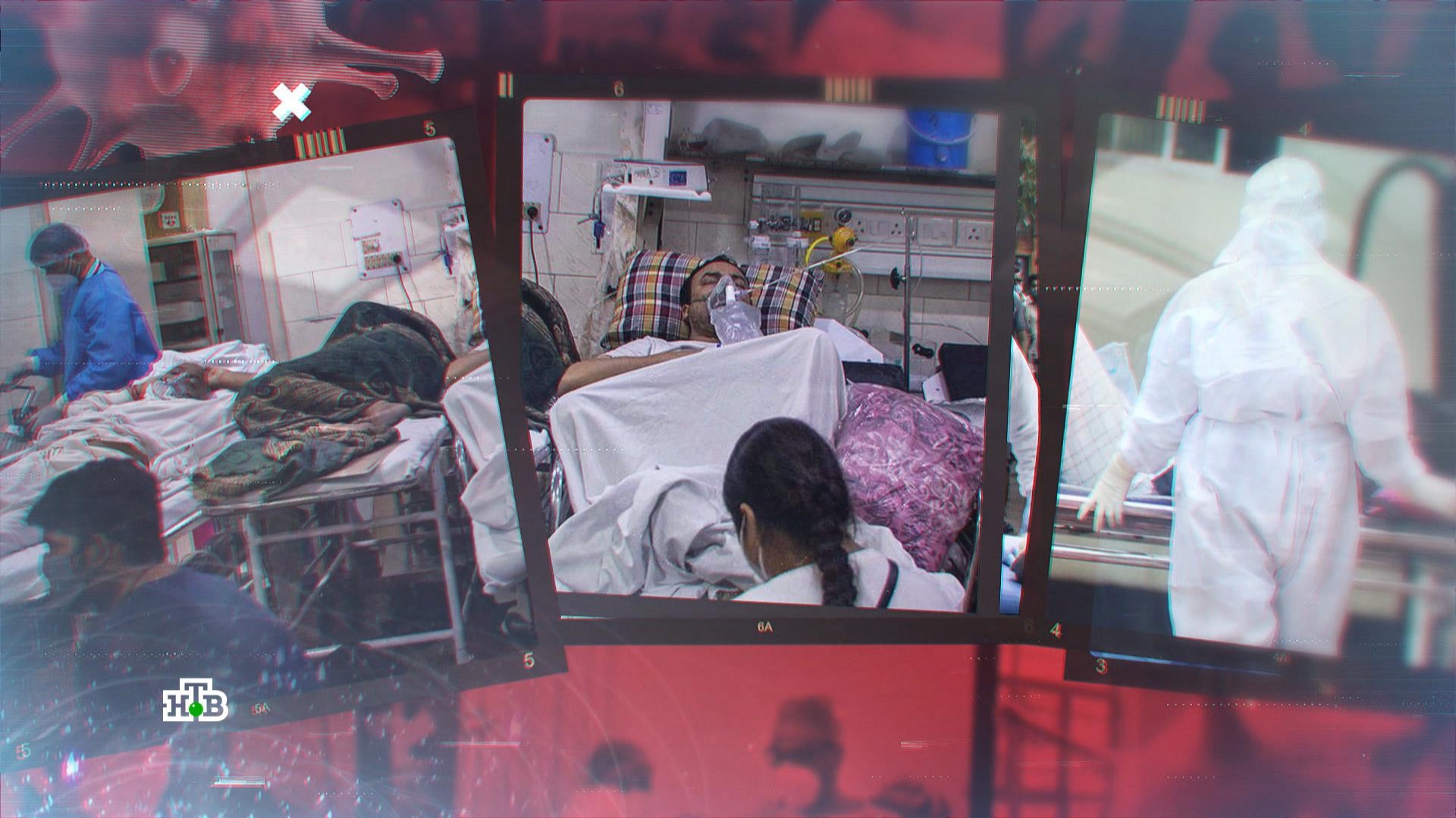 Нипах: распространится ли смертельный вирус из Индии по всему миру | «Центральное телевидение» смотреть онлайн