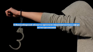 В Новосибирской области пресекли мошенничество в сфере автострахования