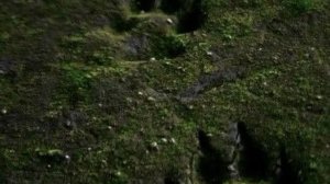 Подборка моих видео со старого акка в лк!