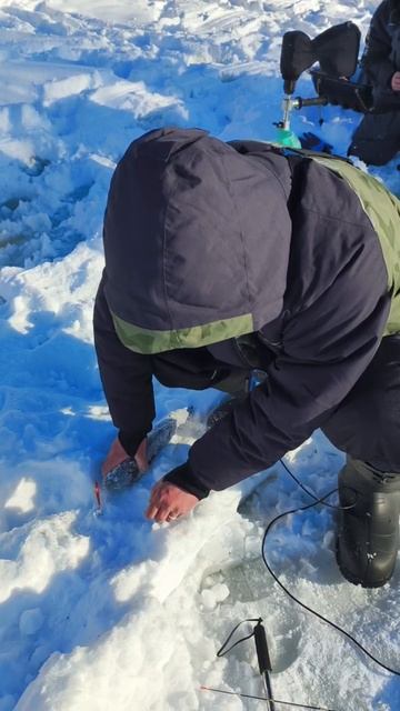 31-01-2026 смотреть онлайн