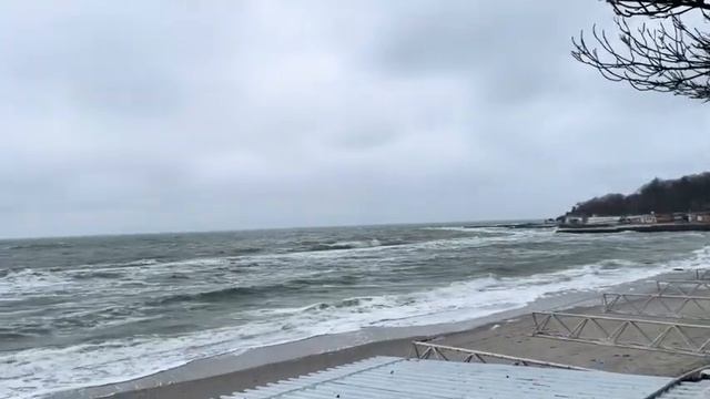 ОДЕССА 31 ЯНВАРЯ 2026. УКРАИНЦЫ ВЫВОДЯТ ТАТУХИ С ТРЕЗУБЦА смотреть онлайн