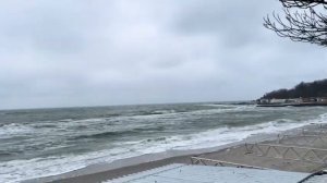 ОДЕССА 31 ЯНВАРЯ 2026. УКРАИНЦЫ ВЫВОДЯТ ТАТУХИ С ТРЕЗУБЦА