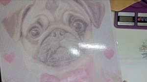 СП"12 месяцев-2сезон"с Ириной Роговой. отчёт за январь. Что беру в февраль