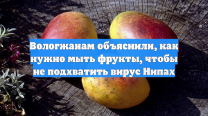 Врач рассказала, как обрабатывать фрукты, чтобы не подхватить вирус Нипах
