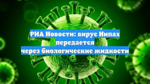 Вирусолог Прельяско: вирус Нипах передается через биологические жидкости