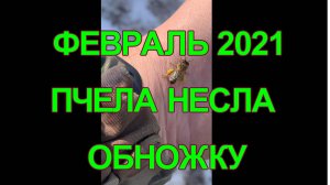 2 ФЕВРАЛЬ 2021 ГОДА ПРОВОЖУ ОСМОТР.