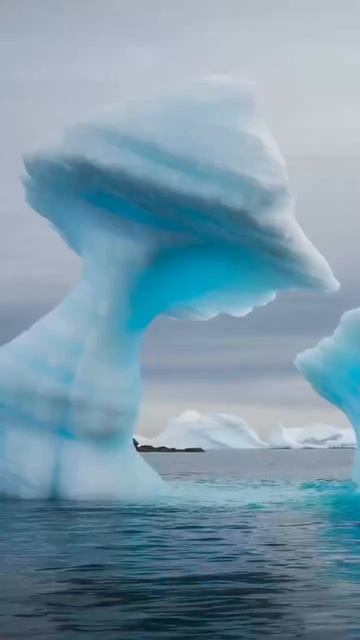 ЧУДЕСА ПРИРОДЫ. смотреть онлайн