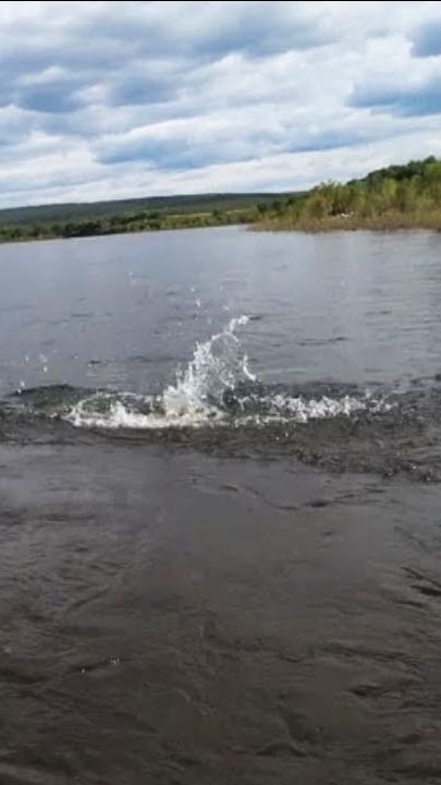 ВИТИМ. смотреть онлайн