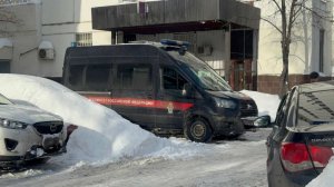 Задушенная в Москве девушка была няней для бездомных кошек