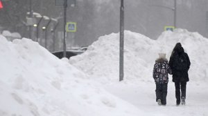 Аномальные снегопады сплотили россиян для помощи друг другу