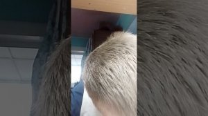 я стал учителём на 6 минут