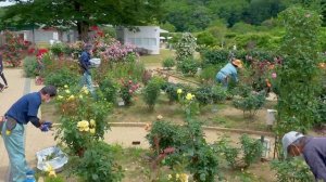 1000011274.mp4.  " что мужчинам нужно...