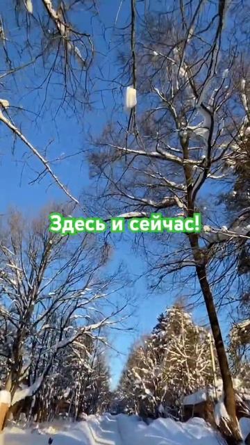 Мороз и солнце ☀️ смотреть онлайн