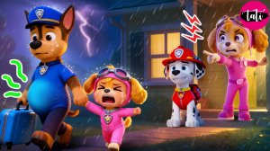 Щенячий патруль и Маршалл. Залипательное видео. Мультфильм для детей и малышей. Анимация 155