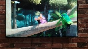 Отряд джунглей спешит на помощь 3 сезон - Гилберт неотразим