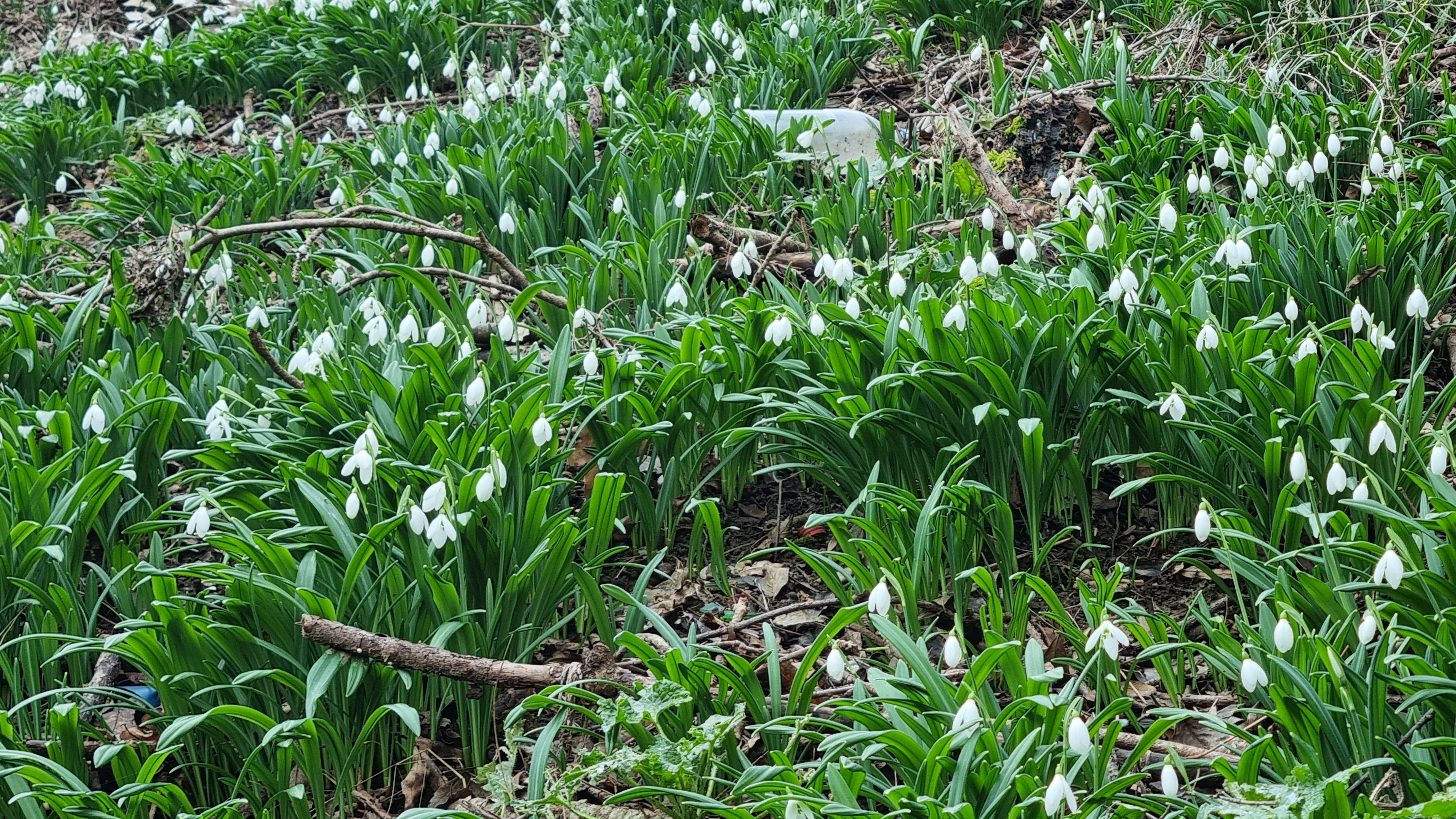 Ялта, Царская тропа, в гостях у сказки 12 месяцев смотреть онлайн