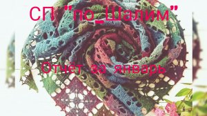 Отчёт за январь в СП "по_ШалИм" с Надеждой Пуниной