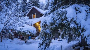 Депутат ГД заявил о важности поправок в законодательство об СНТ