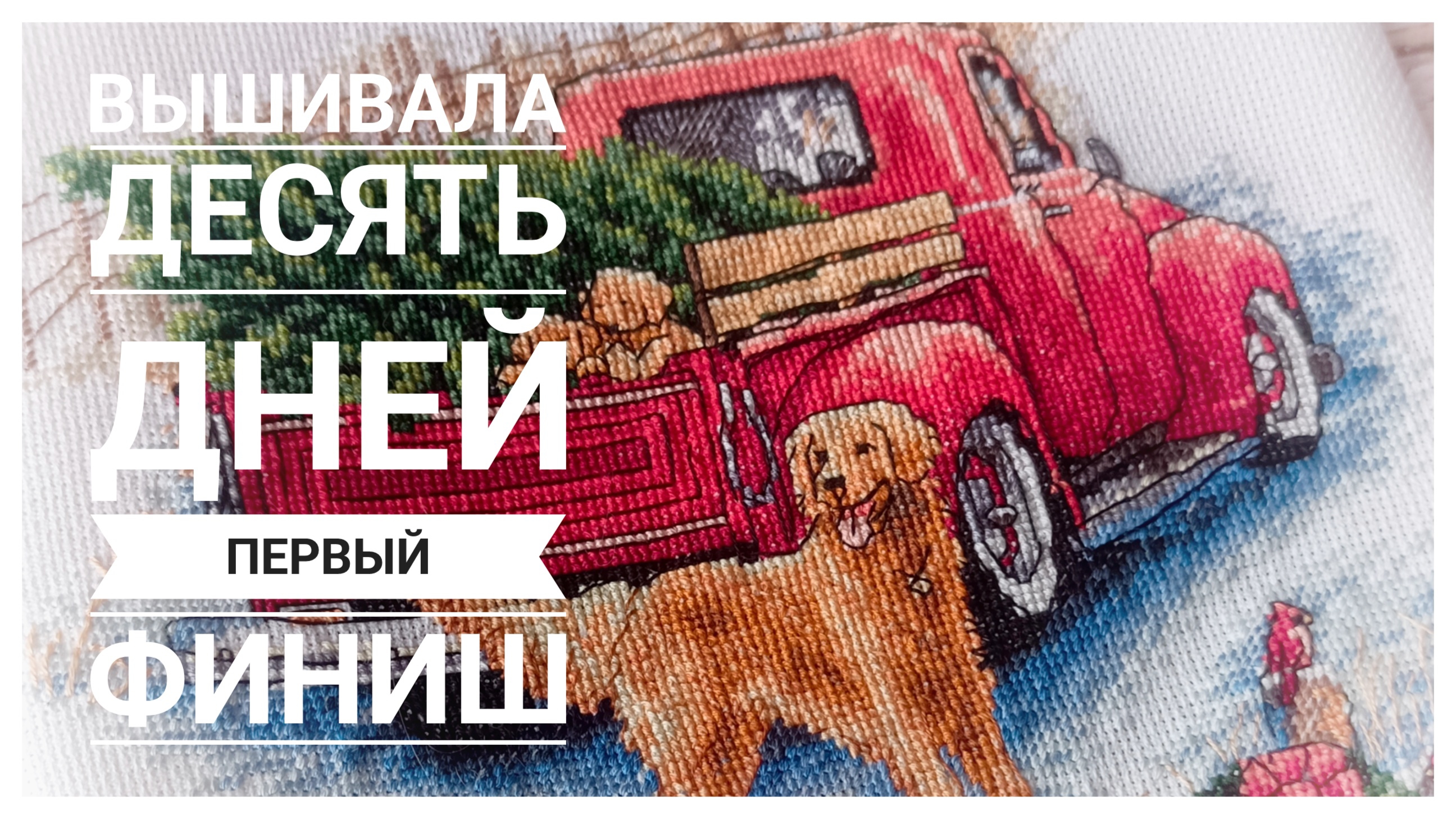 Продвижения за 10 дней | Первый финиш 2026 | Вышивка крестом смотреть онлайн