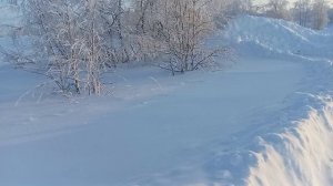 Мороз 🎅 и солнце 🌞 день чудесный.