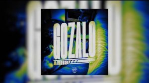 GOZALO (Super Slowed) (Brazilian Funk + Phonk) - Ariis