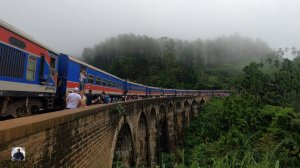 Девятиарочный мост, встречаем поезд, пиявки! Шри-Ланка, Январь 2025 #шриланка2025 #девятиарочныймост